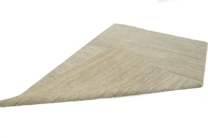 Beige & Brown Transitional Floral 6X9 Oriental Rug