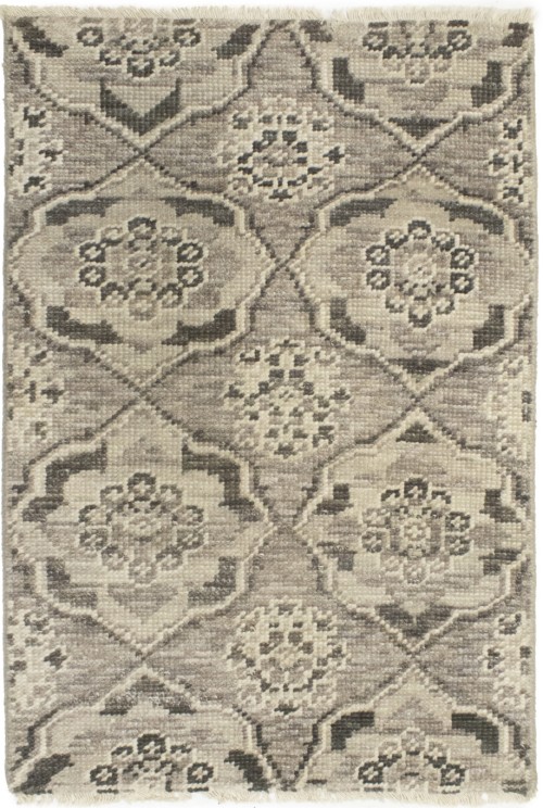 Brown Floral Modern 2X3 Transitional Oriental Rug