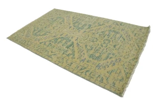 Green Transitional Floral 5X8 Oriental Rug