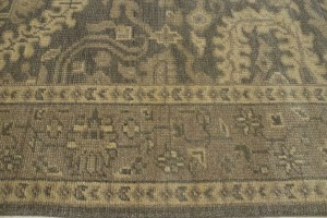 Brown Floral 5'7X8'5 Transitional Oriental Rug