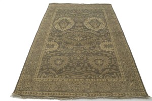 Brown Floral 5'7X8'5 Transitional Oriental Rug