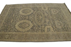 Brown Floral 5'7X8'5 Transitional Oriental Rug