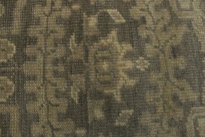 Brown Floral 5'7X8'5 Transitional Oriental Rug