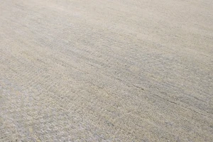 Beige Grass Design 8X10 Modern Oriental Rug