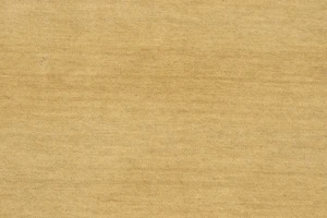 Cream Tribal 5X8 Gabbeh Modern Rug