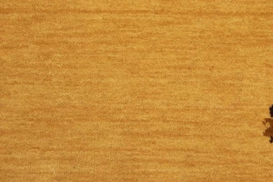Golden Peach Tribal 2X3 Gabbeh Modern Rug