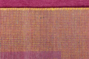 Magenta Border Tribal 6X10 Indo-Gabbeh Oriental Rug