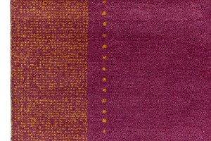 Magenta Border Tribal 6X10 Indo-Gabbeh Oriental Rug