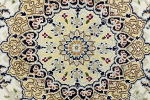 Cream Floral 5X7 Indo-Nain Oriental Rug