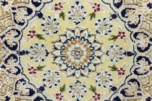 Cream Floral 6X9 Indo-Nain Oriental Rug