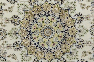 Cream Floral 6X9 Indo-Nain Oriental Rug
