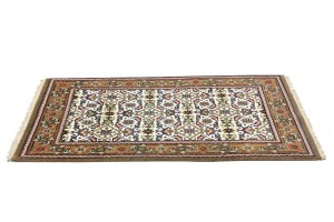 Cream Floral Tribal 3X5 Indo-Bidjar Oriental Rug