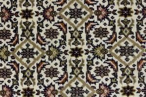 Cream Floral Tribal 3X5 Indo-Bidjar Oriental Rug