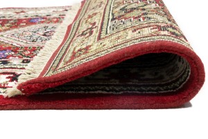 Red Floral Tribal 3'2X5'6 Indo-Bidjar Oriental Rug