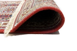 Red Floral Tribal 3'2X5'4 Indo-Bidjar Oriental Rug
