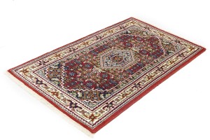 Red Floral Tribal 3'2X5'4 Indo-Bidjar Oriental Rug