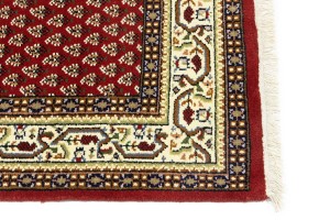 Red Floral 4X6 Indo Botemir Oriental Rug