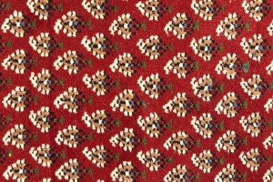 Red Floral 6X8 Indo Botemir Oriental Rug