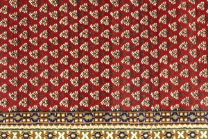 Red Floral 6X8 Indo Botemir Oriental Rug