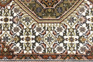 Cream Floral Tribal 6X8 Indo-Bidjar Oriental Rug