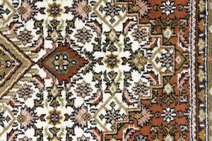 Cream Floral Tribal 6X8 Indo-Bidjar Oriental Rug