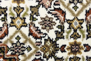 Cream Floral Tribal 6X8 Indo-Bidjar Oriental Rug