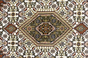 Cream Floral Tribal 6X8 Indo-Bidjar Oriental Rug