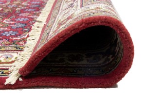 Red Floral Tribal 4X6 Indo-Bidjar Oriental Rug