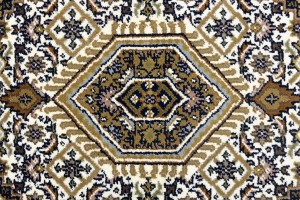 Cream Floral Tribal 4X6 Indo-Bidjar Oriental Rug