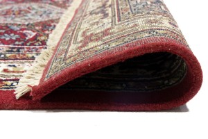 Red Floral Tribal 4X6 Indo-Bidjar Oriental Rug