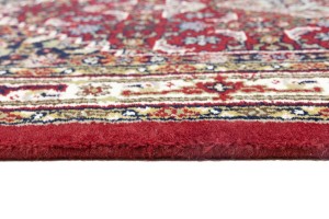 Red Floral Tribal 4X6 Indo-Bidjar Oriental Rug