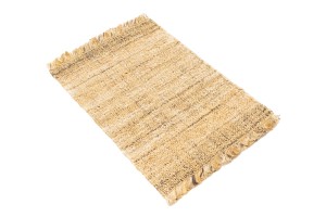 Flat-Weave Jute 2X3 Sumak Modern Rug