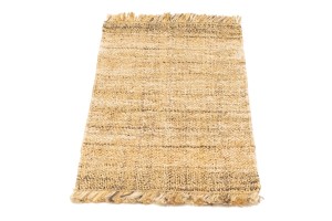 Flat-Weave Jute 2X3 Sumak Modern Rug