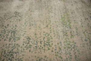 Distressed Green Floral 4X6 Hand-Loomed Modern Rug