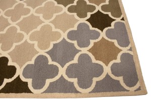 Multicolored Trellis 5X8 Hand-Tufted Modern Rug