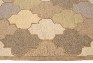 Multicolored Trellis 5X8 Hand-Tufted Modern Rug