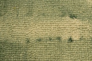 Hunter Green Tie-Dye 5X8 Hand-Tufted Modern Rug