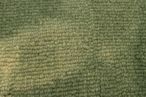 Hunter Green Tie-Dye 5X8 Hand-Tufted Modern Rug