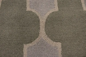 Multicolored Trellis 5X8 Hand-Tufted Modern Rug