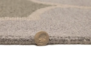 Multicolored Trellis 5X8 Hand-Tufted Modern Rug