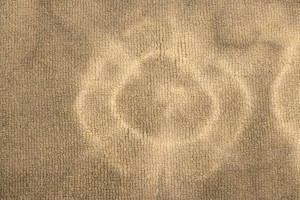 Brown Tie-Dye 5X8 Hand-Tufted Modern Rug