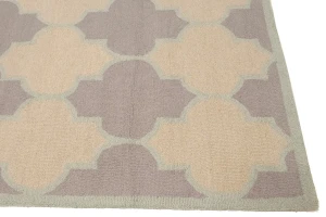 Multicolored Trellis 5X8 Hand-Tufted Modern Rug