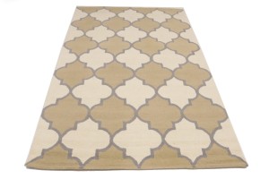 Multicolored Trellis 5X8 Hand-Tufted Modern Rug