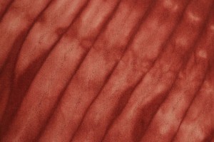 Maroon Red Tie-Dye 5X8 Hand-Tufted Modern Rug