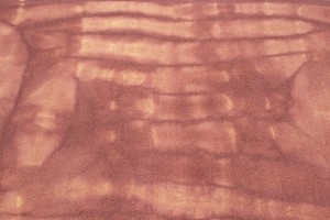 Deep Blush Tie-Dye 5X8 Hand-Tufted Modern Rug