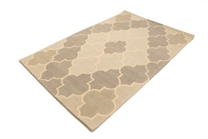 Multicolored Trellis 5X8 Hand-Tufted Modern Rug