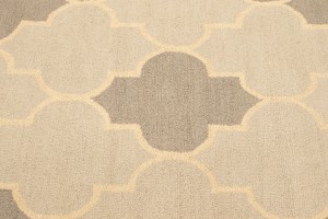 Multicolored Trellis 5X8 Hand-Tufted Modern Rug