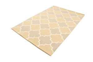 Multicolored Trellis 5X8 Hand-Tufted Modern Rug