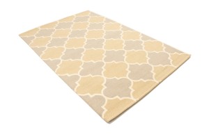Multicolored Trellis 5X8 Hand-Tufted Modern Rug