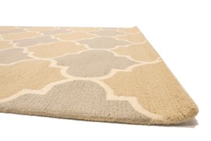 Multicolored Trellis 5X8 Hand-Tufted Modern Rug